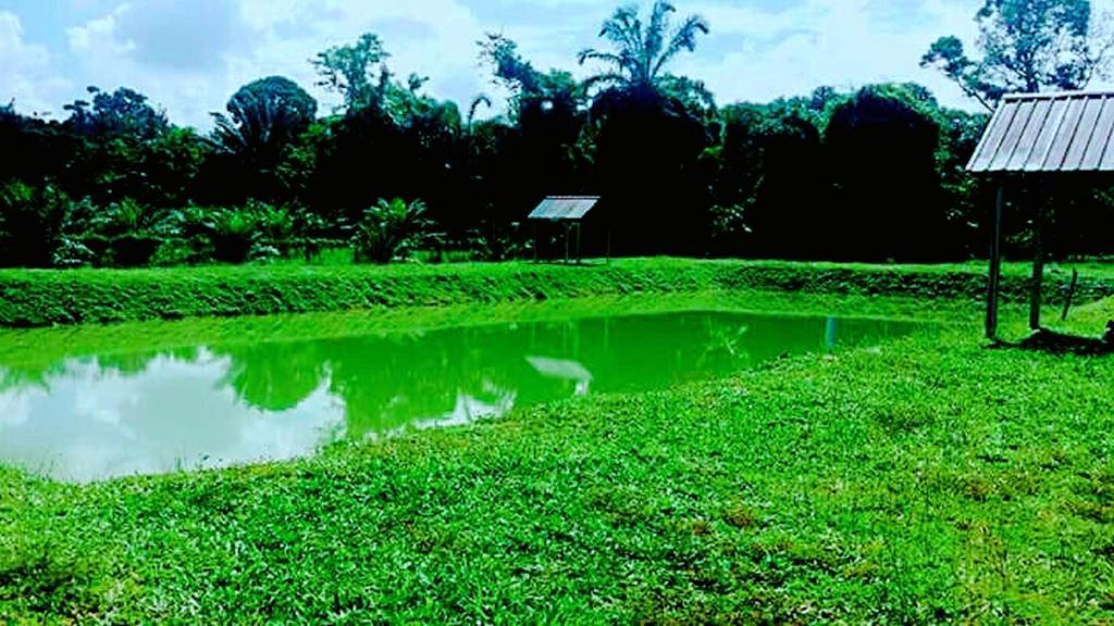 5 Stone Cabin Chalet Taiping Buitenkant foto